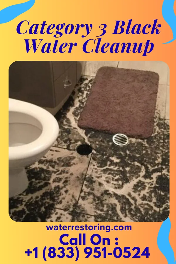 Category 3 Black Water Cleanup in Linganore, MD