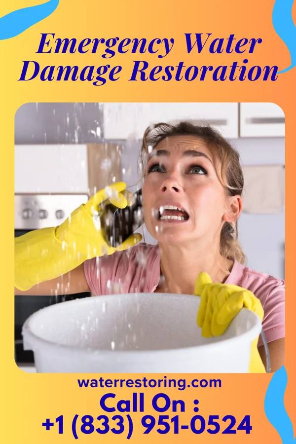 Emergency Water Damage Restoration in Linganore, MD