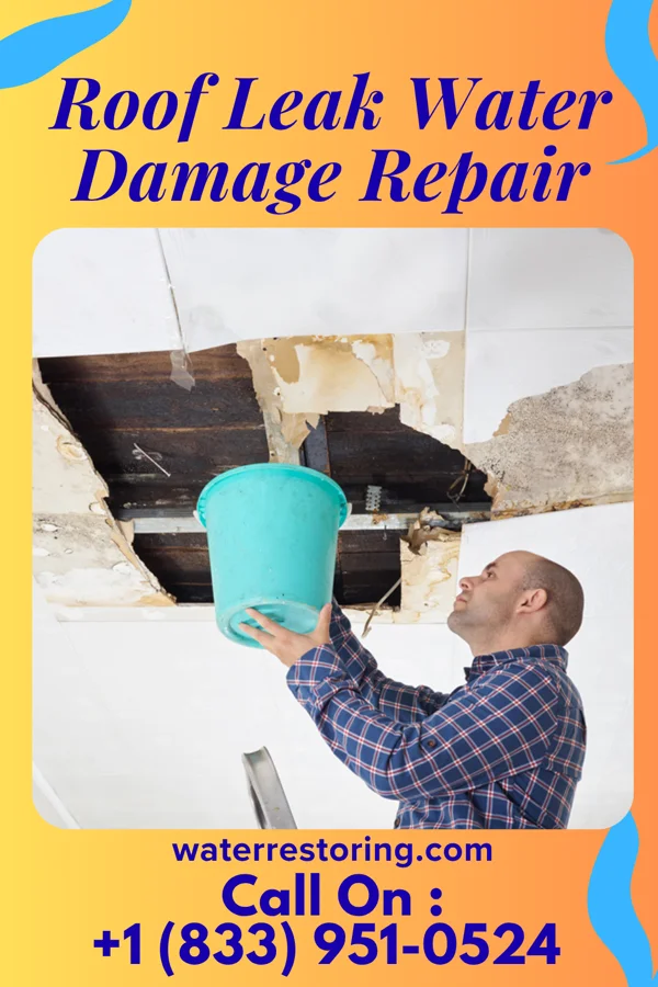 Roof Leak Water Damage Repair in Linganore, MD